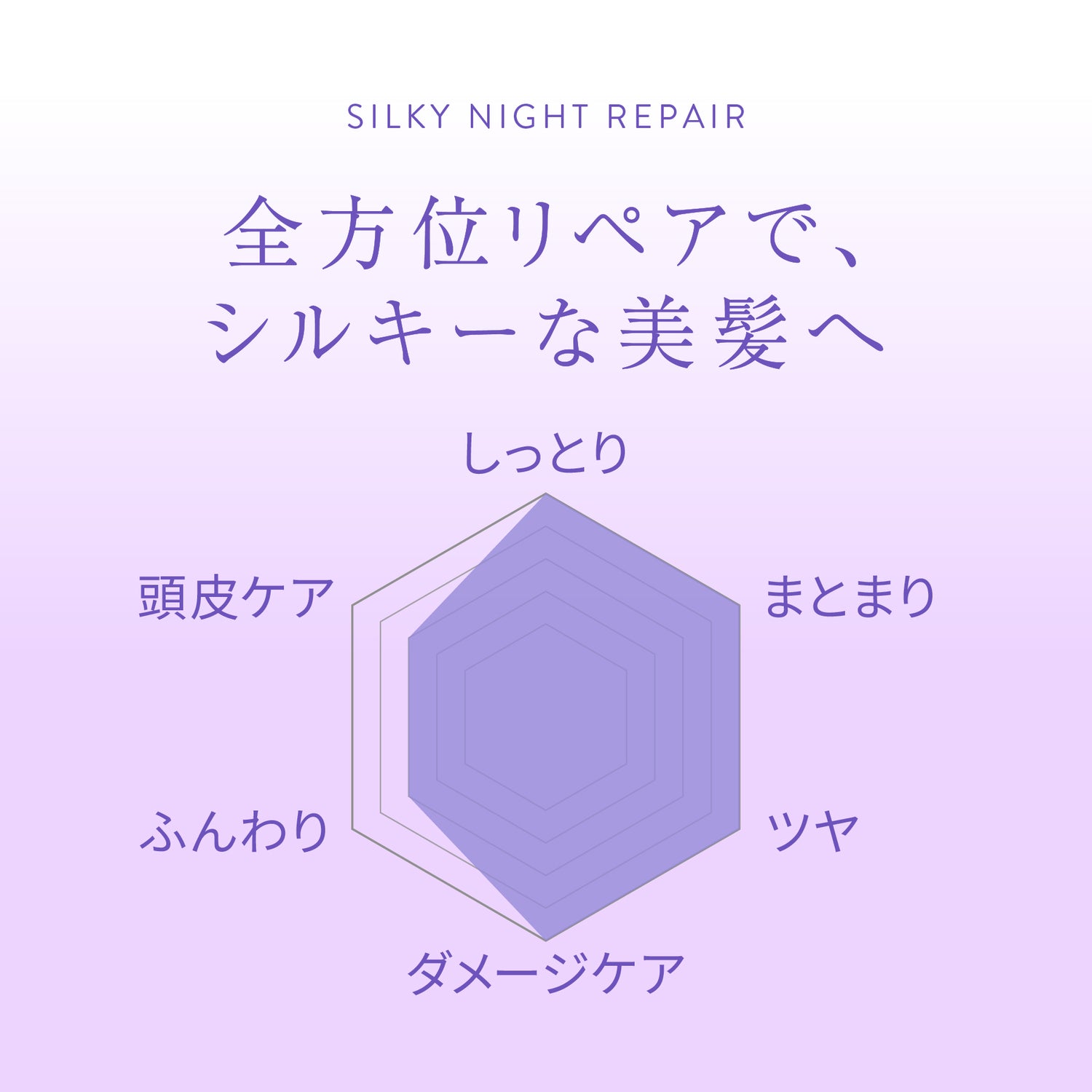 2.0 SILKY NIGHT REPAIR　シルキーナイトリペアシリーズ